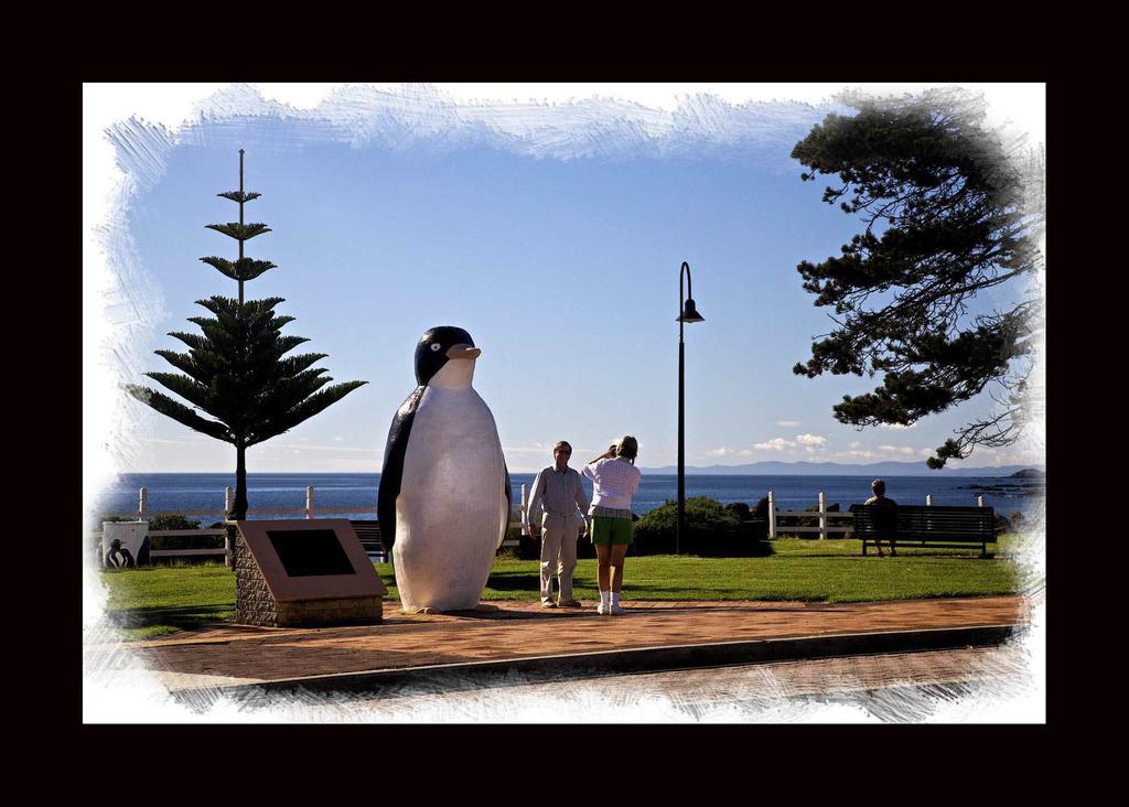 Penguin Beachfront Apartments Exteriör bild